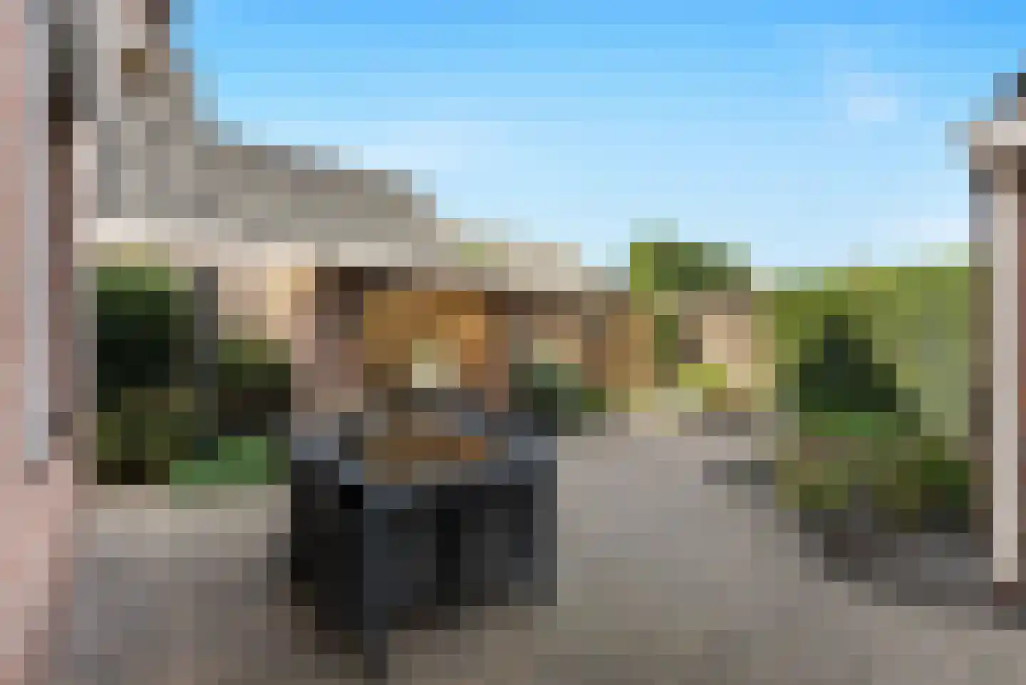 Hortensiastraat 37 Ederveen thumbnail 36