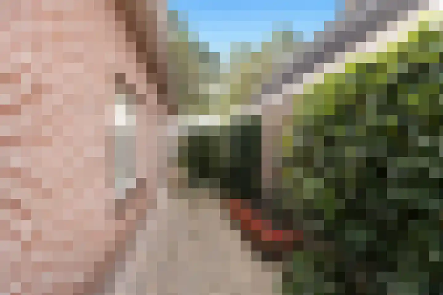 Hortensiastraat 37 Ederveen thumbnail 39