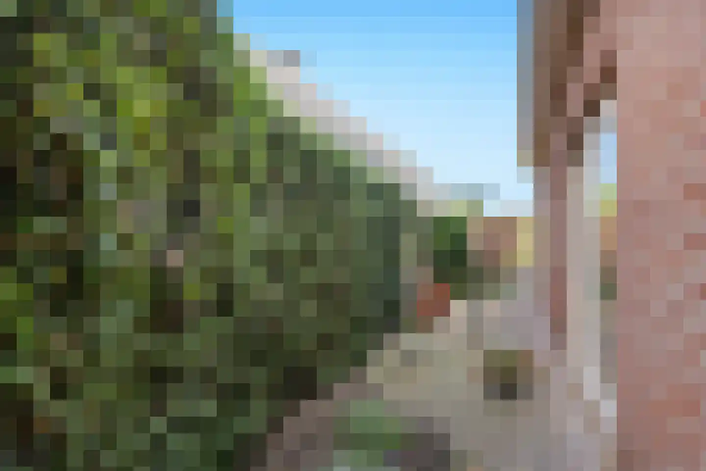 Hortensiastraat 37 Ederveen thumbnail 40