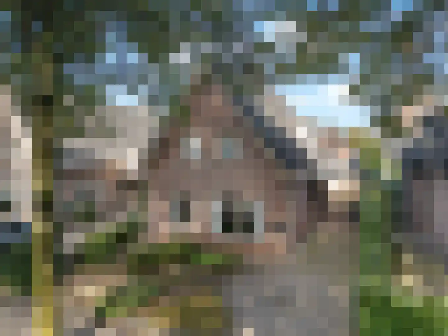 Hortensiastraat 37 Ederveen thumbnail 42