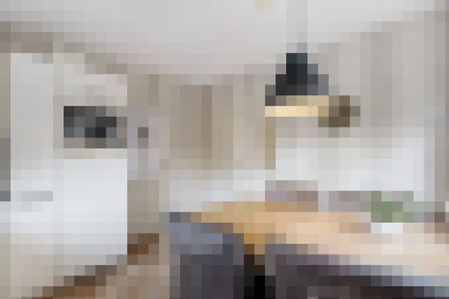 Hortensiastraat 37 Ederveen thumbnail 7