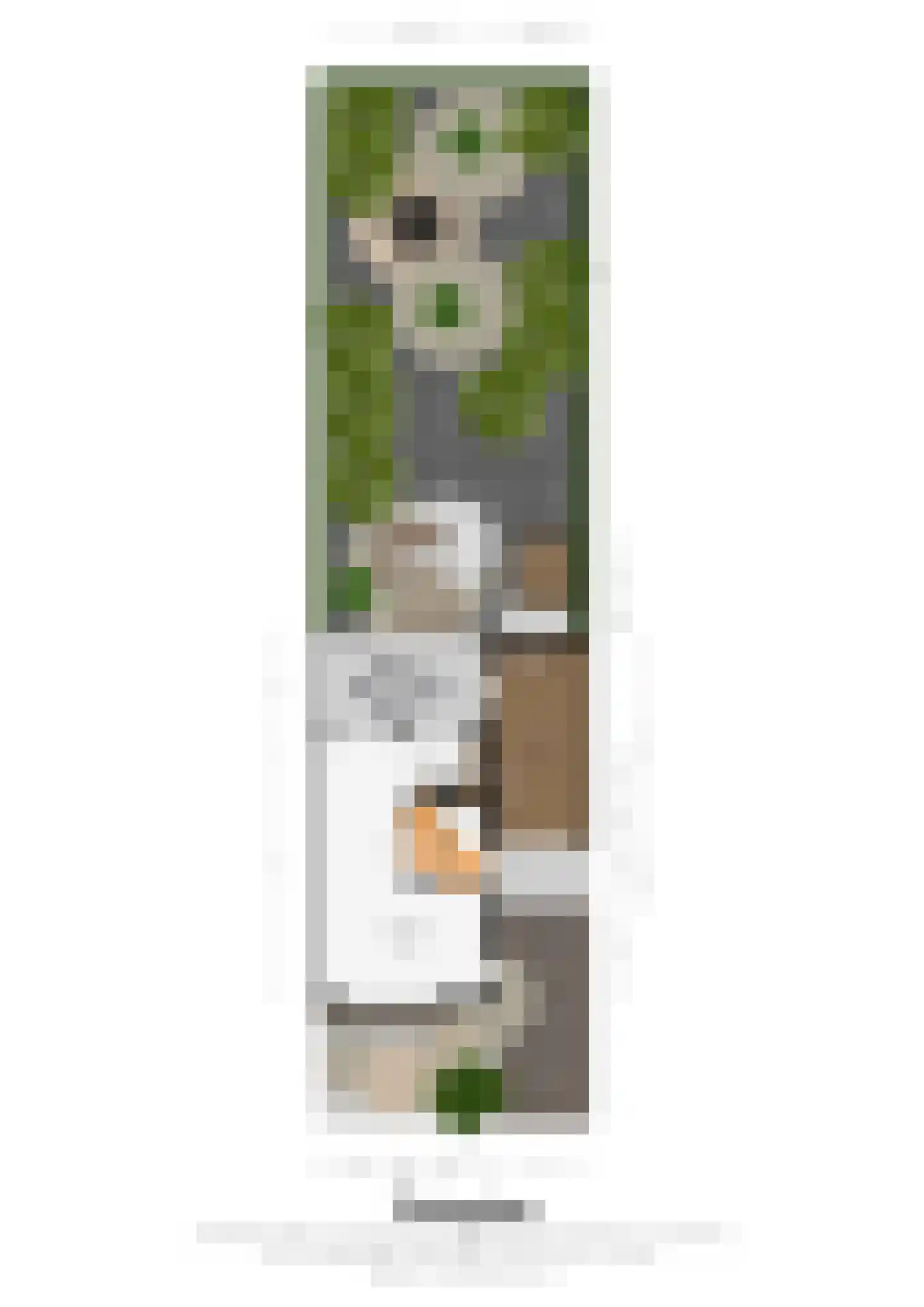 Hortensiastraat 38 Geleen thumbnail 22