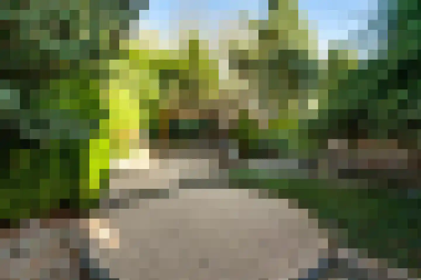 Hortensiastraat 38 Geleen thumbnail 4