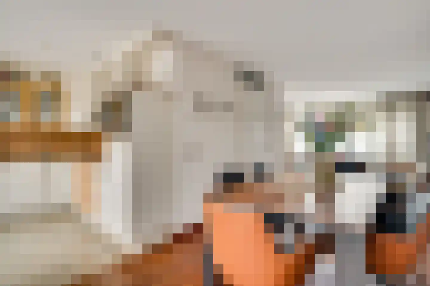 Hortensiastraat 38 Geleen thumbnail 7