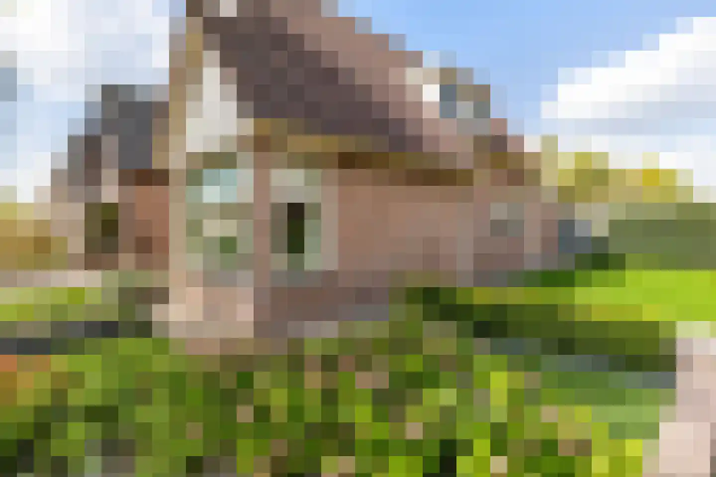 Hortensiastraat 41 Ederveen thumbnail 27