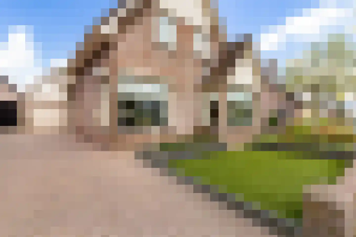 Hortensiastraat 41 Ederveen thumbnail 28