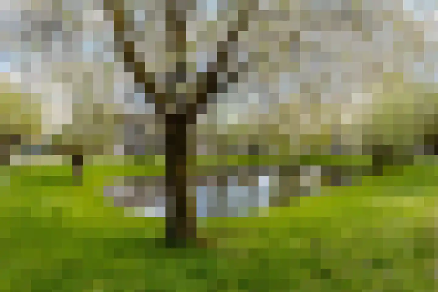Hortensiastraat 41 Ederveen thumbnail 32