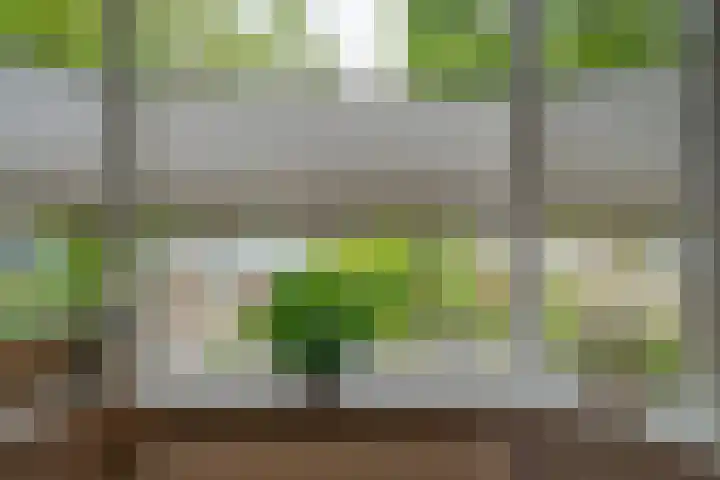 Hortensiastraat 44 Zwolle thumbnail 14