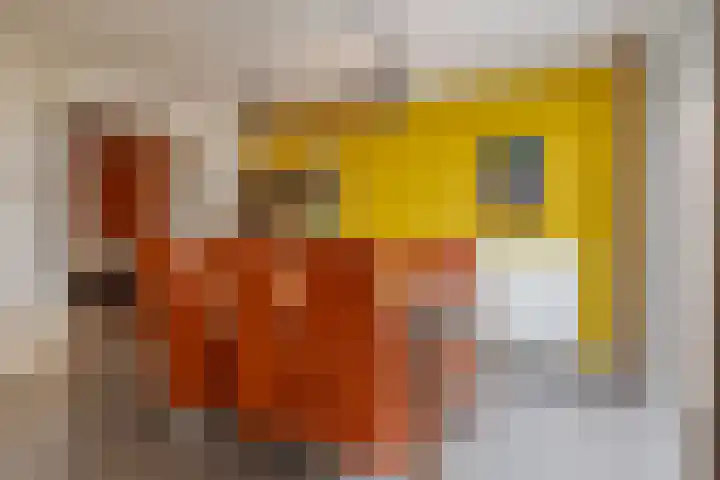 Hortensiastraat 44 Zwolle thumbnail 23