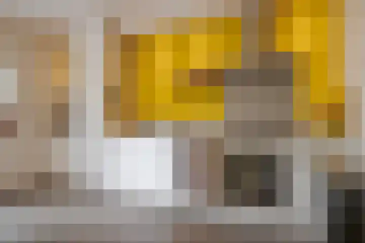 Hortensiastraat 44 Zwolle thumbnail 25