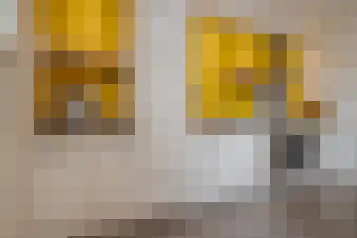 Hortensiastraat 44 Zwolle thumbnail 26