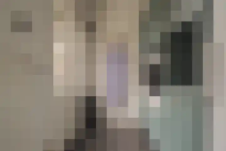Hortensiastraat 44 Zwolle thumbnail 28