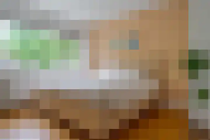 Hortensiastraat 44 Zwolle thumbnail 33