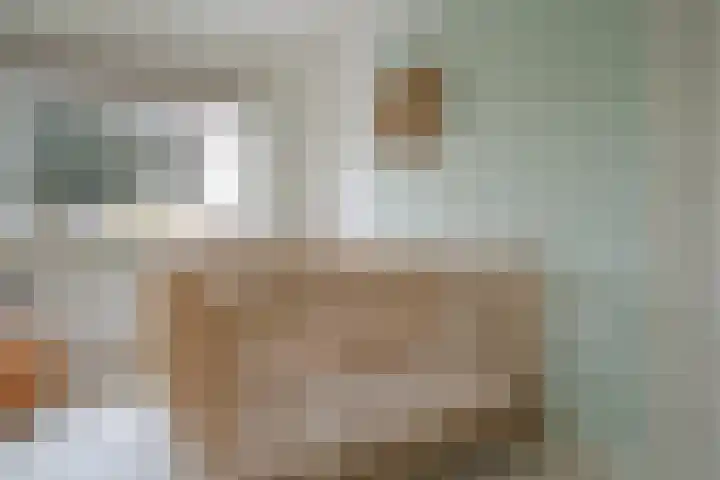 Hortensiastraat 44 Zwolle thumbnail 36
