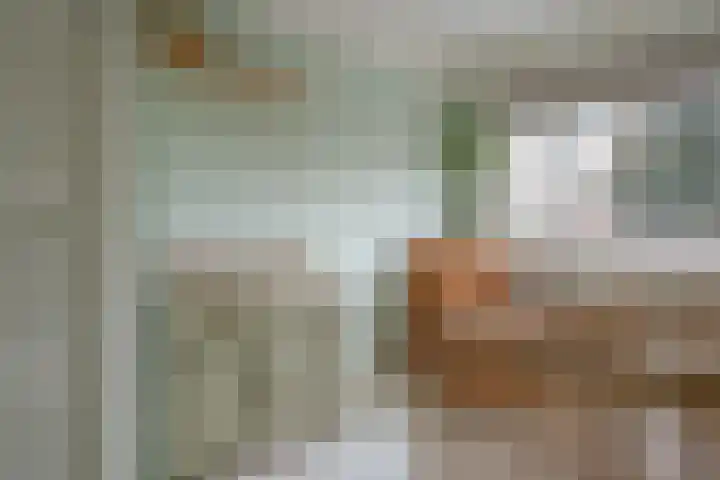 Hortensiastraat 44 Zwolle thumbnail 37