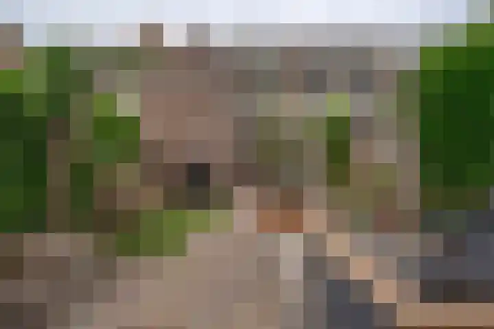 Hortensiastraat 44 Zwolle thumbnail 4