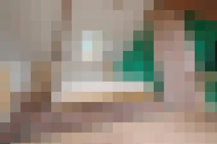 Hortensiastraat 44 Zwolle thumbnail 42