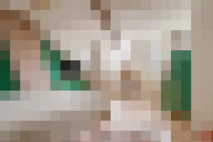 Hortensiastraat 44 Zwolle thumbnail 44