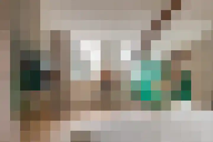Hortensiastraat 44 Zwolle thumbnail 45