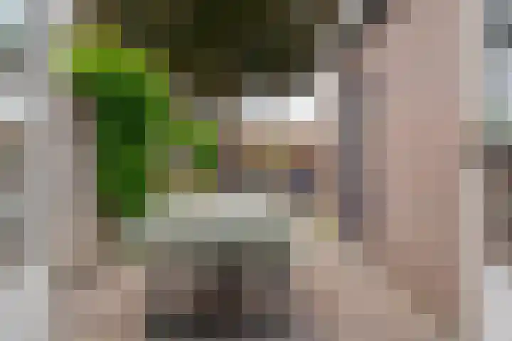Hortensiastraat 44 Zwolle thumbnail 48