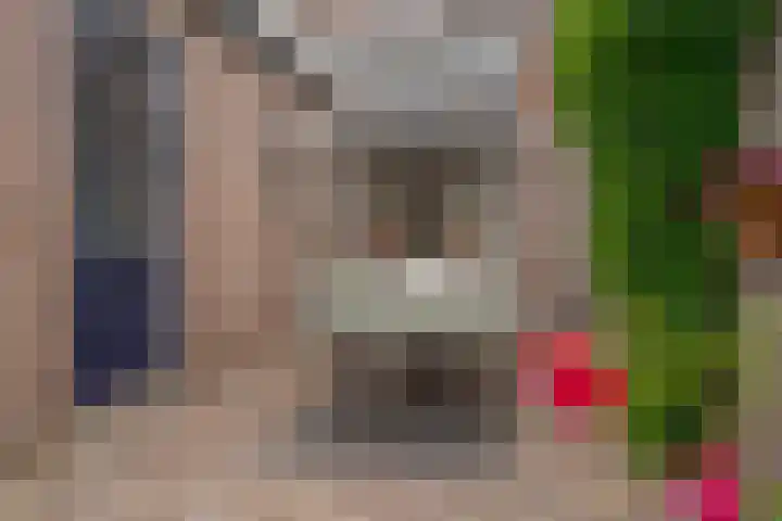 Hortensiastraat 44 Zwolle thumbnail 49