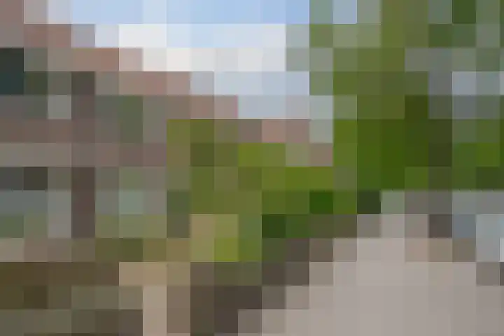 Hortensiastraat 44 Zwolle thumbnail 5