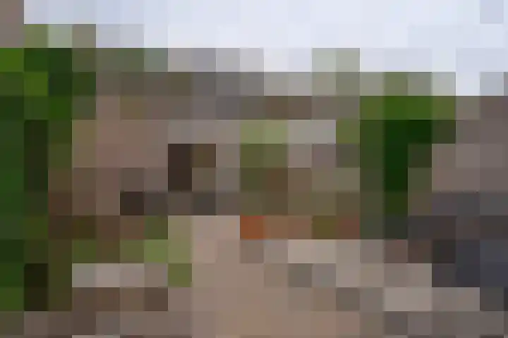 Hortensiastraat 44 Zwolle thumbnail 51