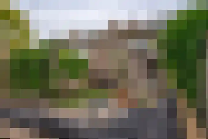 Hortensiastraat 44 Zwolle thumbnail 52