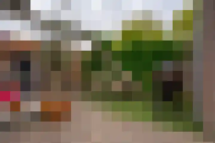 Hortensiastraat 44 Zwolle thumbnail 55