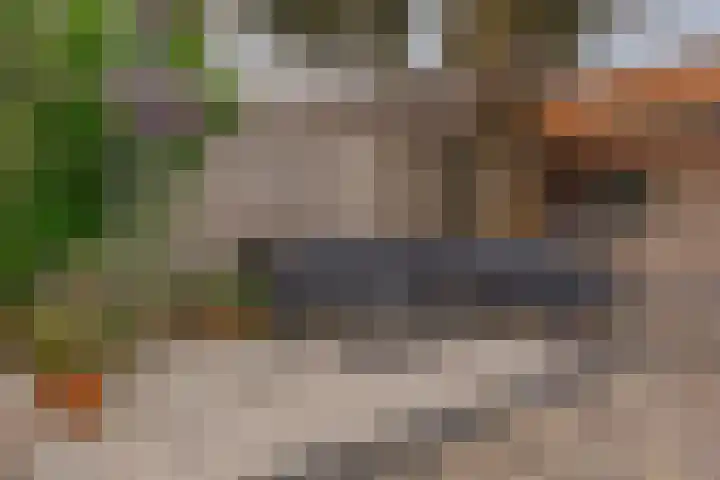 Hortensiastraat 44 Zwolle thumbnail 56