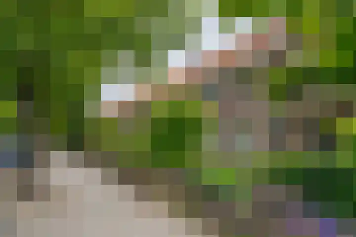 Hortensiastraat 44 Zwolle thumbnail 59