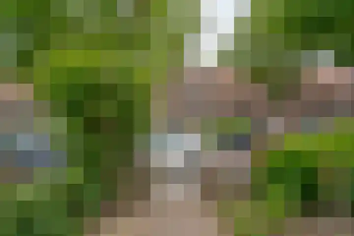 Hortensiastraat 44 Zwolle thumbnail 7