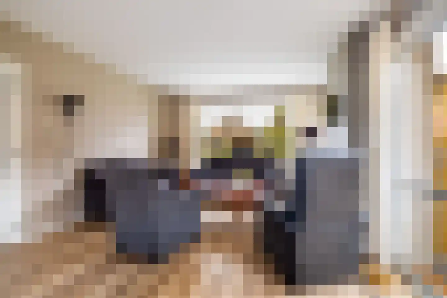Hortensiastraat 5 Ederveen thumbnail 5