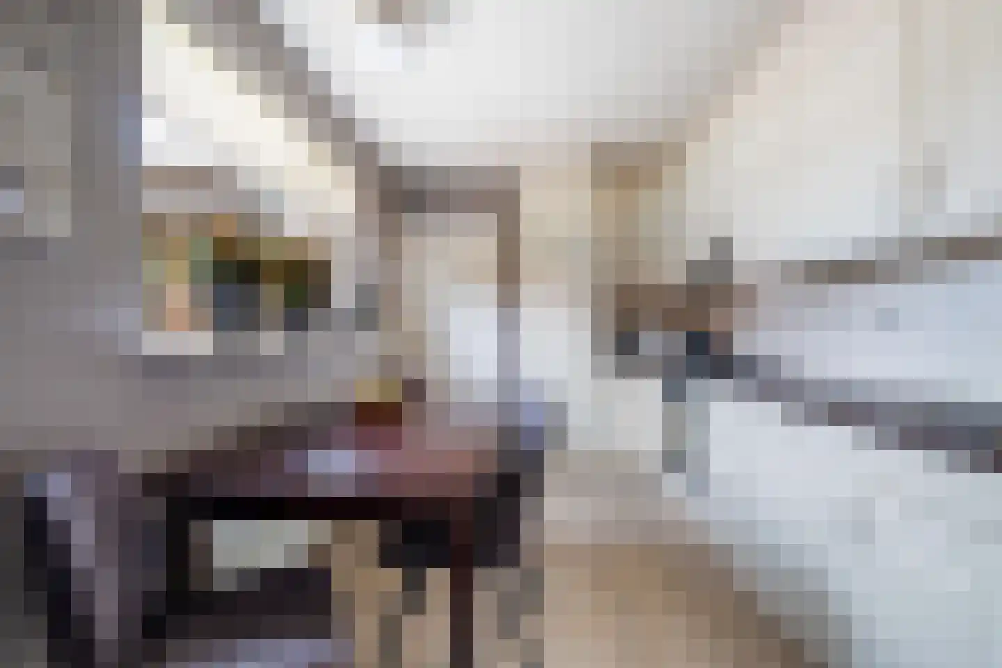 Hortensiastraat 5 Ederveen thumbnail 8