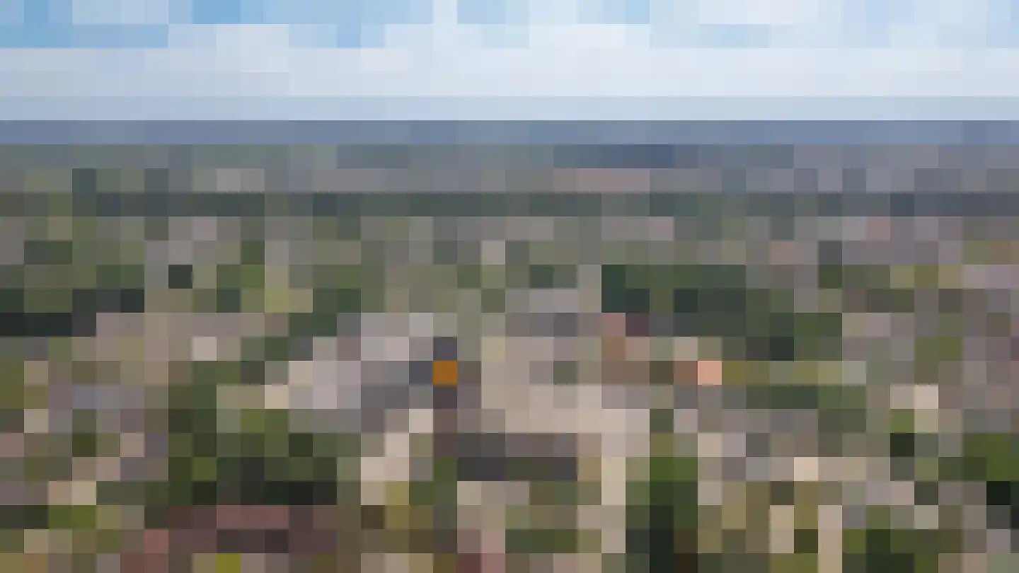 Hortensiastraat 52 Enschede thumbnail 31