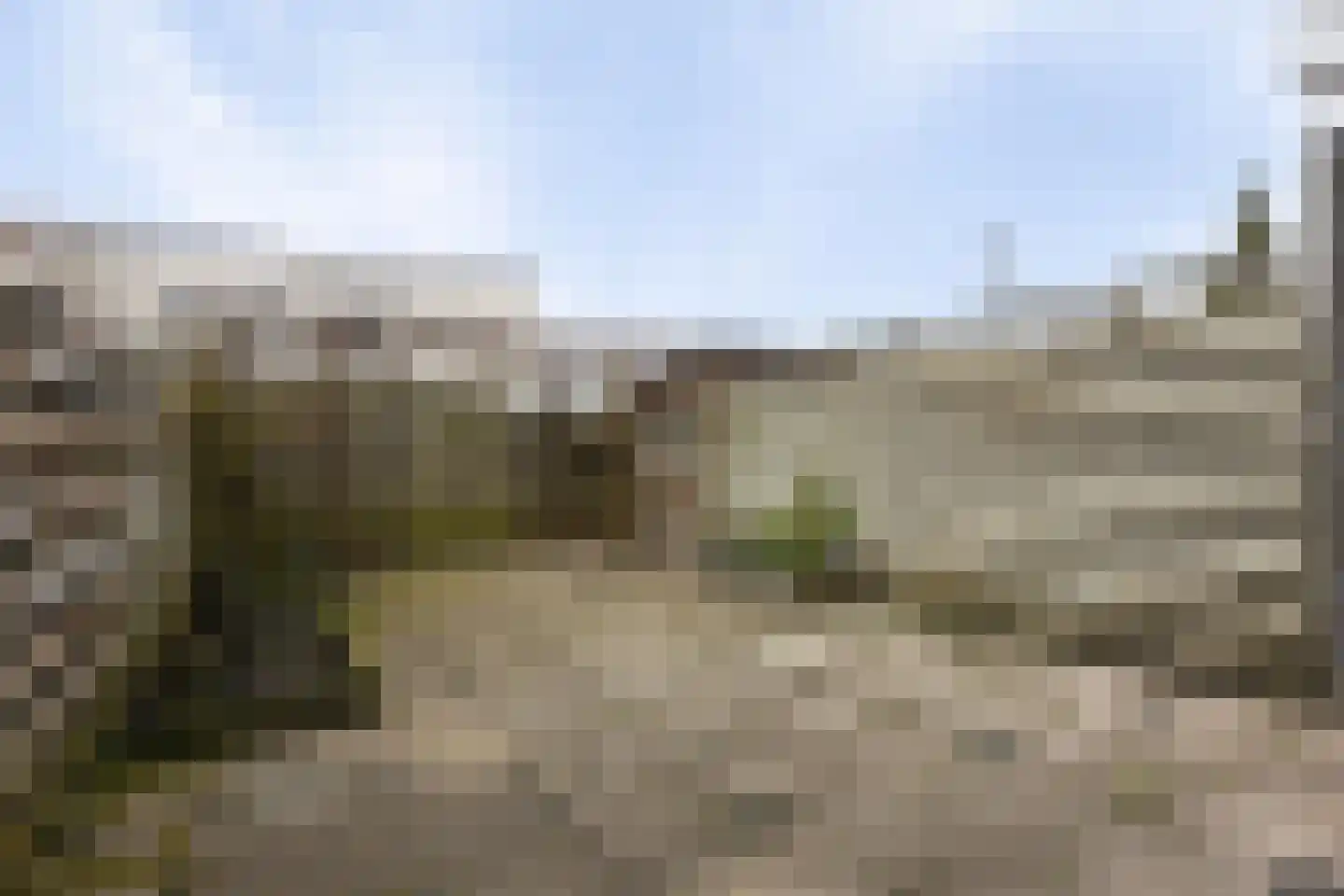 Hortensiastraat 53 Rotterdam thumbnail 30