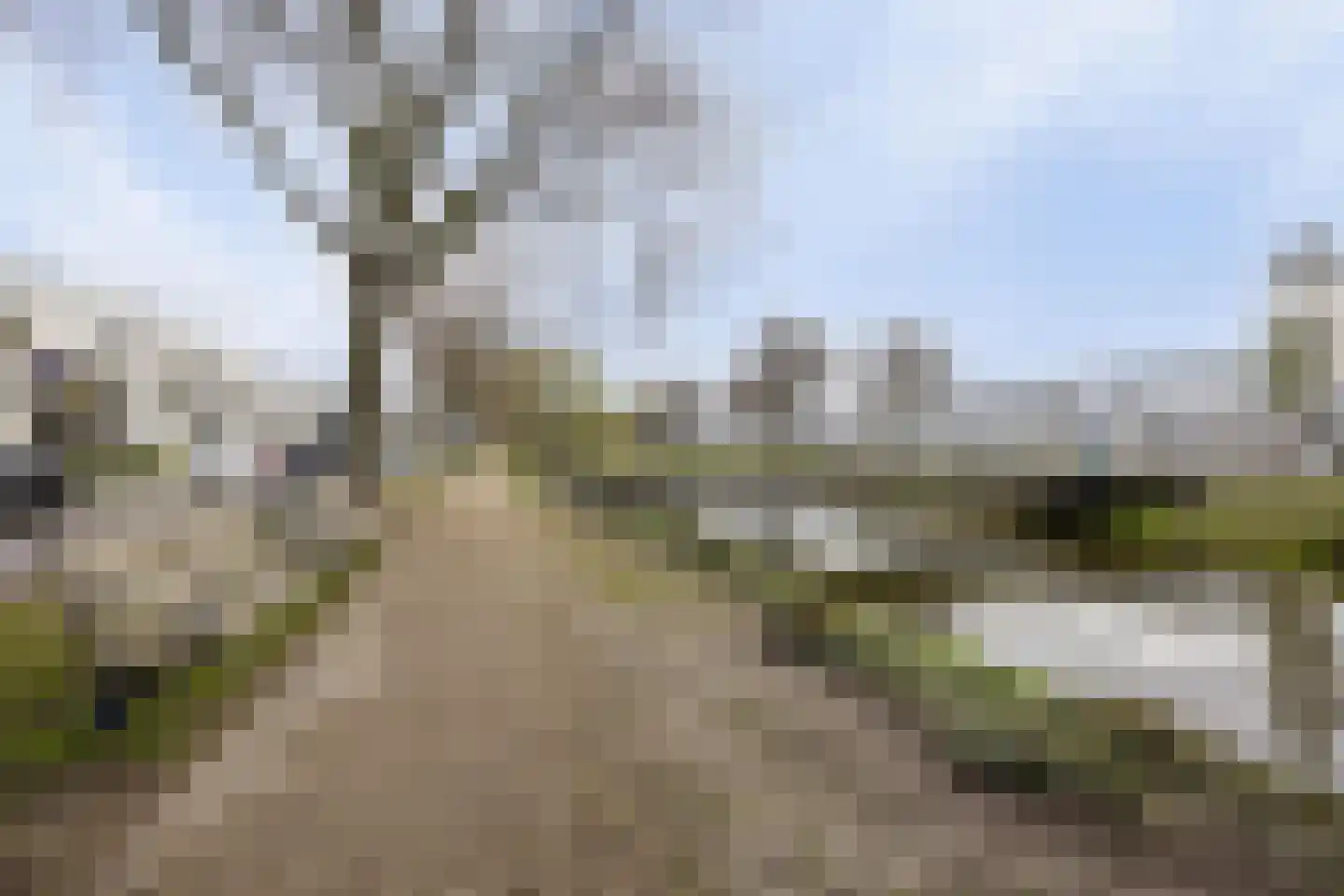 Hortensiastraat 53 Rotterdam thumbnail 34