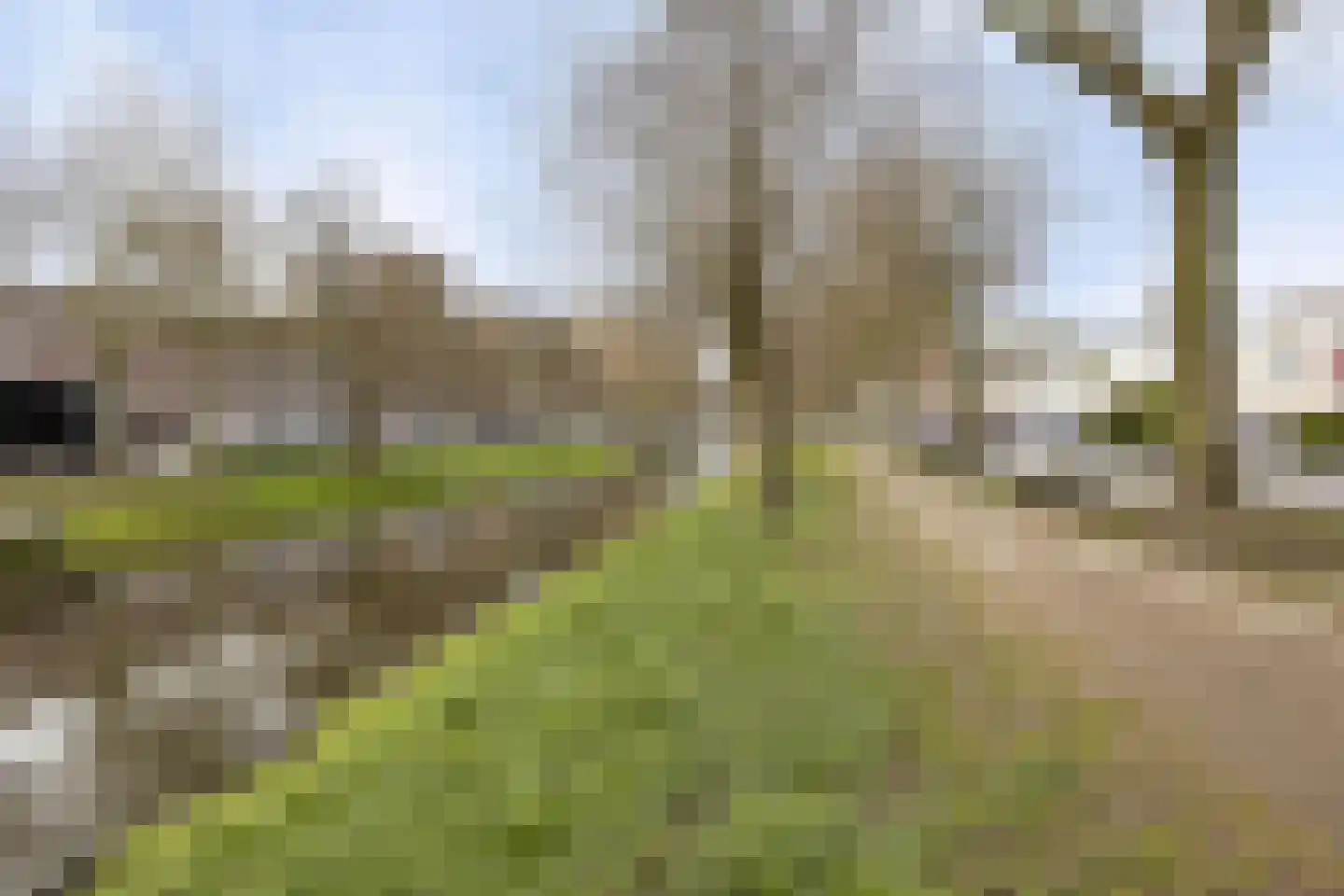 Hortensiastraat 53 Rotterdam thumbnail 35