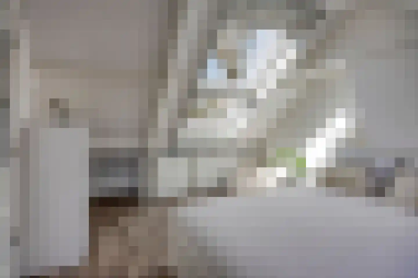 Hortensiastraat 56 Zwolle thumbnail 28