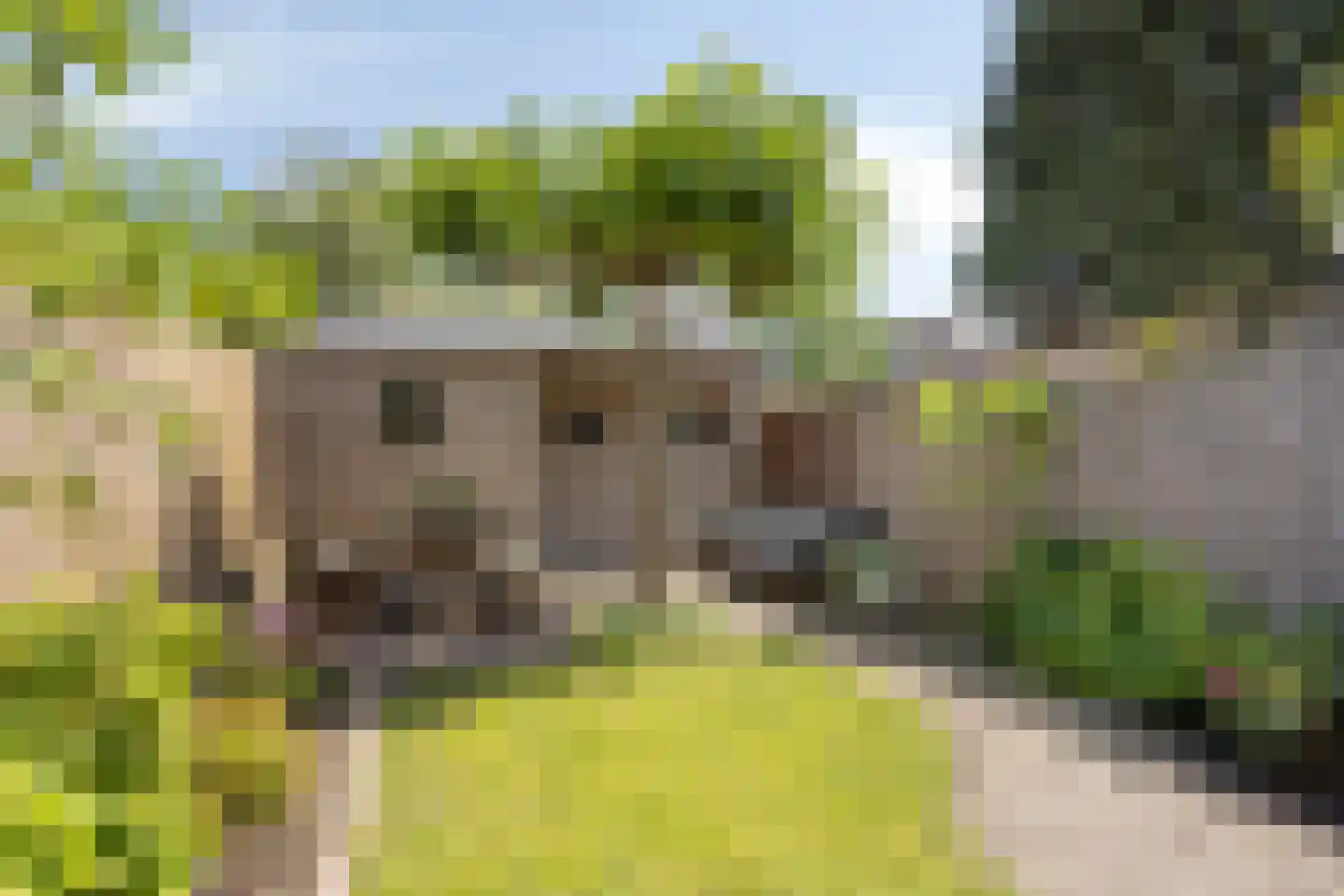 Hortensiastraat 56 Zwolle thumbnail 32