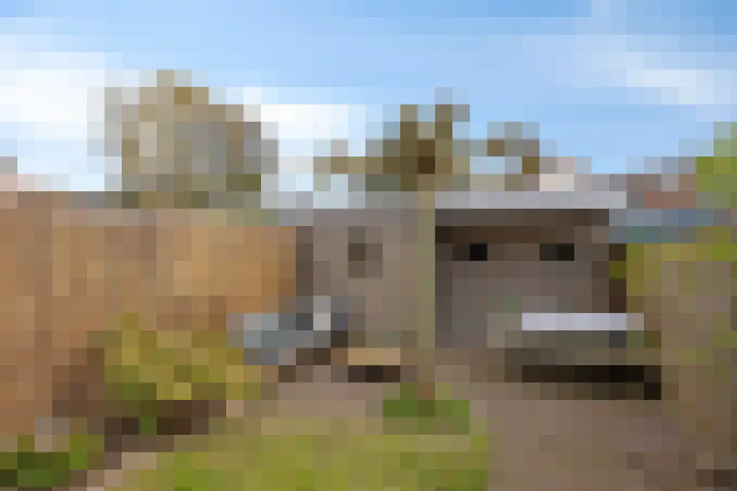Hortensiastraat 56 Zwolle thumbnail 32