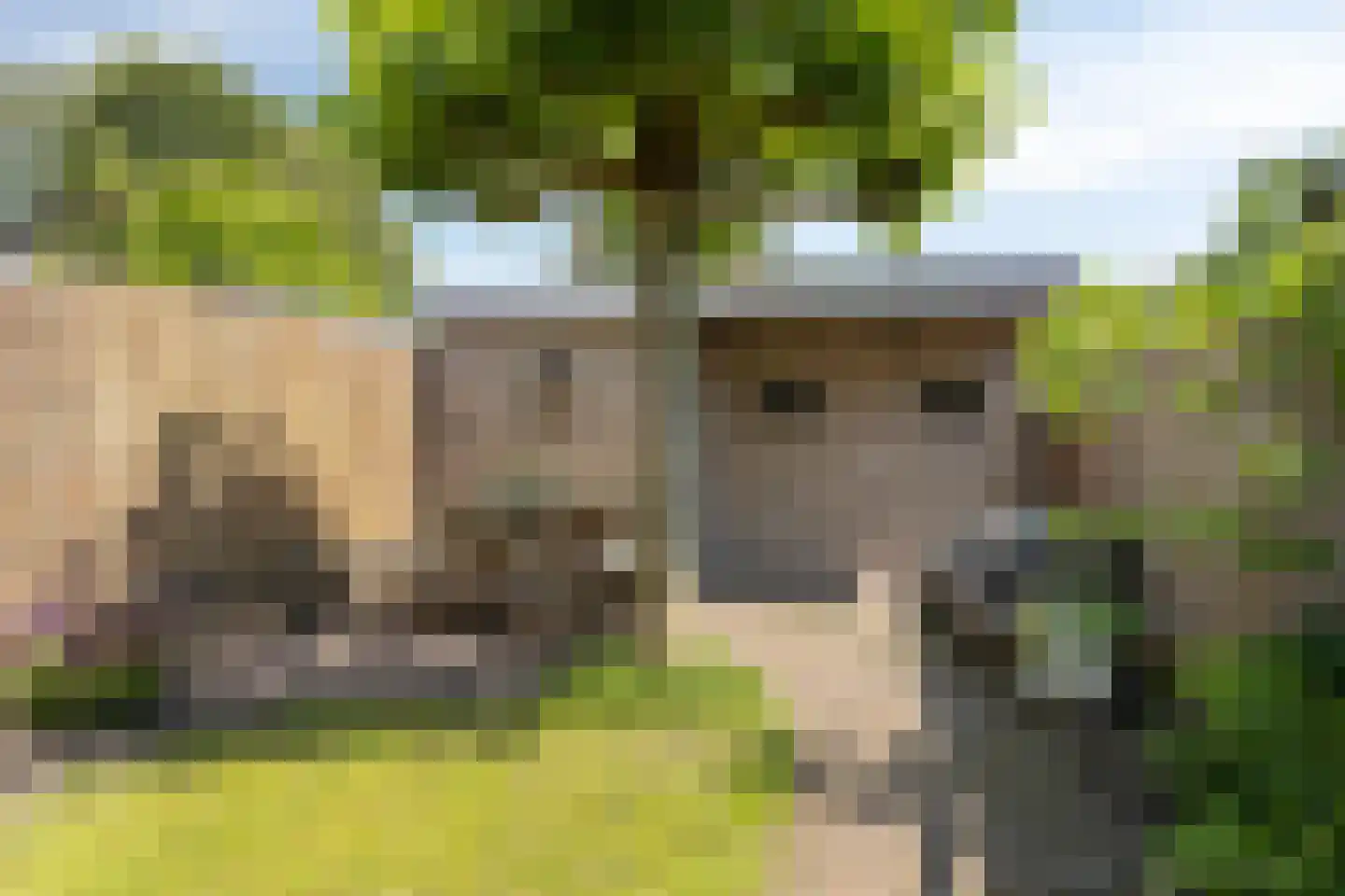Hortensiastraat 56 Zwolle thumbnail 33