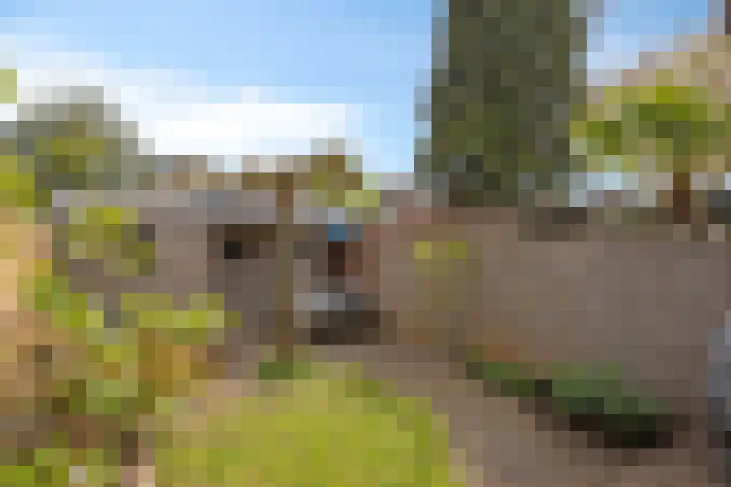 Hortensiastraat 56 Zwolle thumbnail 33
