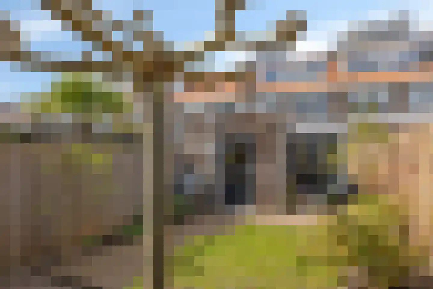 Hortensiastraat 56 Zwolle thumbnail 34