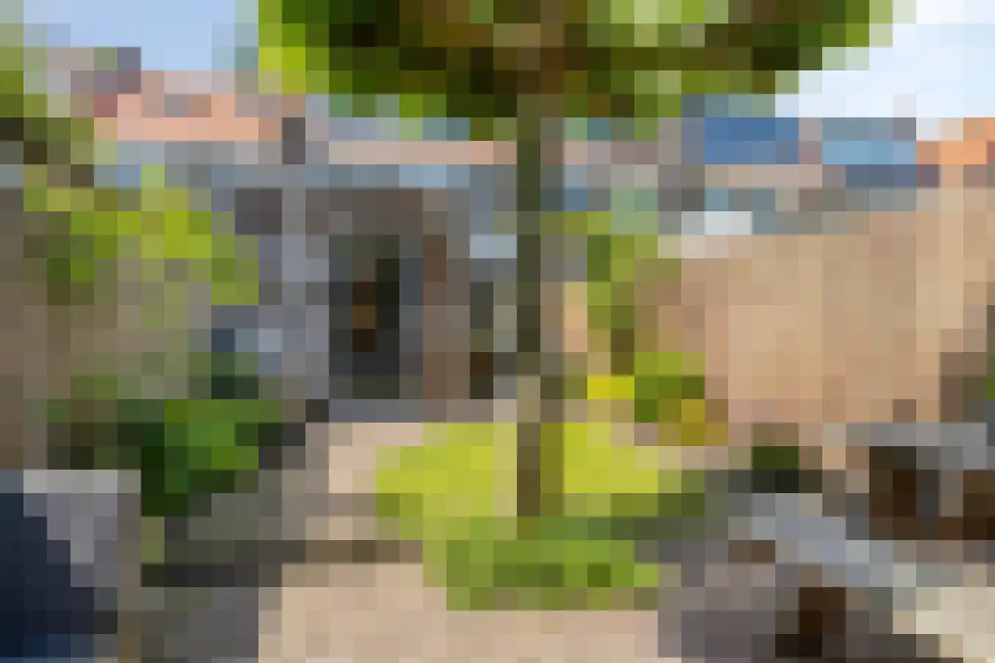 Hortensiastraat 56 Zwolle thumbnail 34
