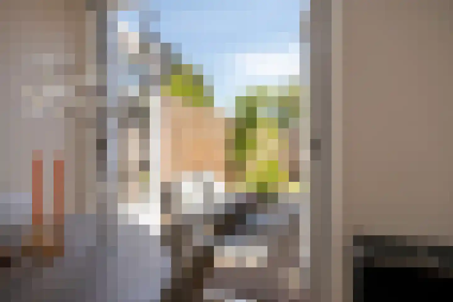 Hortensiastraat 56 Zwolle thumbnail 36