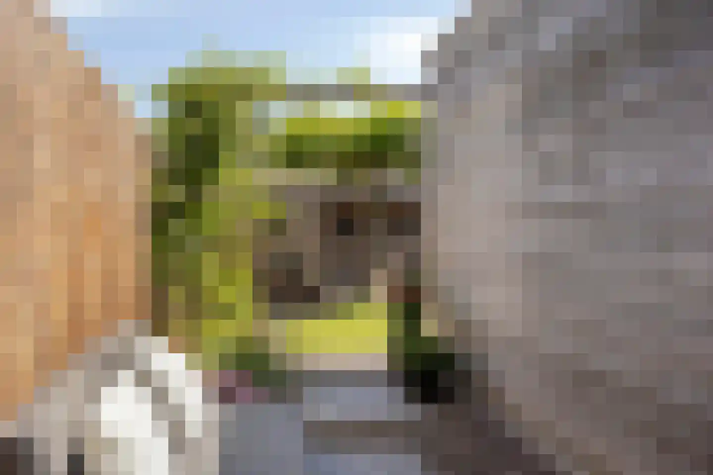 Hortensiastraat 56 Zwolle thumbnail 37
