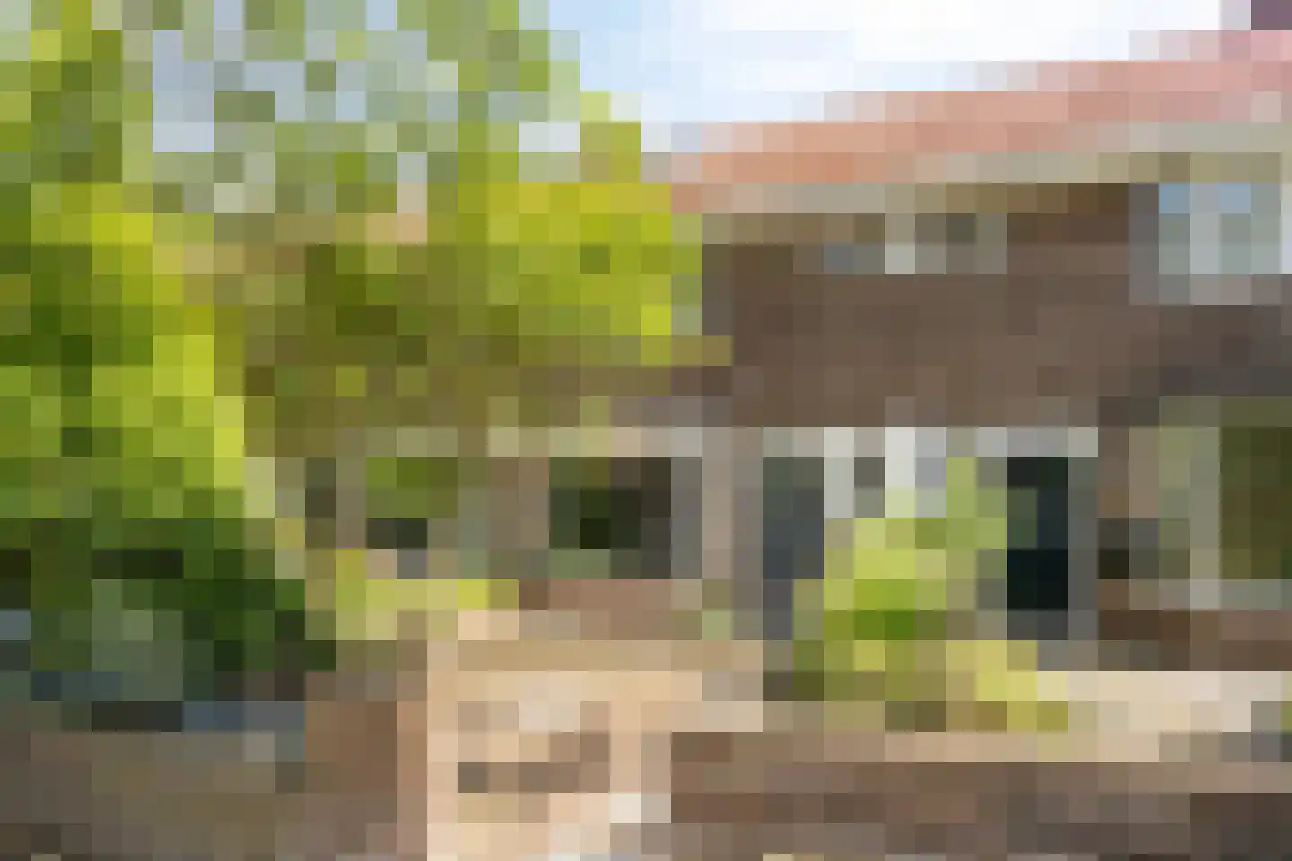 Hortensiastraat 56 Zwolle thumbnail 38