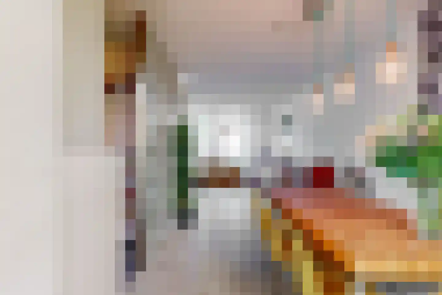 Hortensiastraat 57 Geleen thumbnail 16
