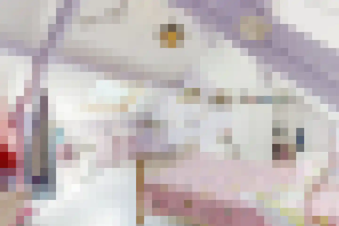 Hortensiastraat 57 Geleen thumbnail 33